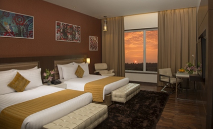 Superior Queen Family